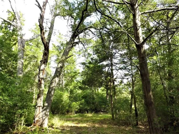 1073 Mentzwood TRL,  Alleyton,  TX 78935