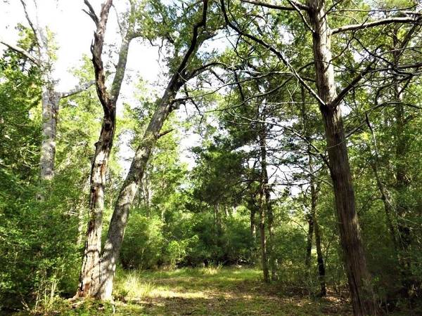1073 Mentzwood TRL, Alleyton, TX 78935