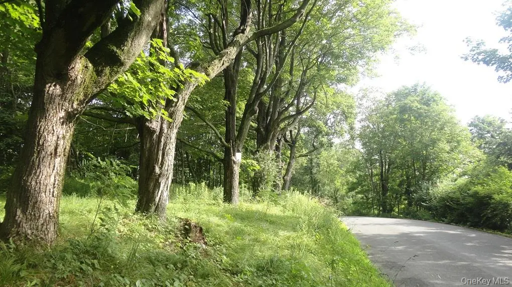 Henry RD, Cragsmoor, NY 12420