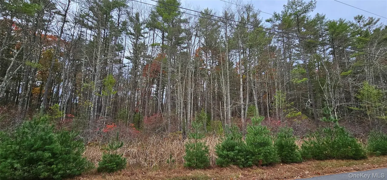 Lot 28 Summit DR, Yulan, NY 12792