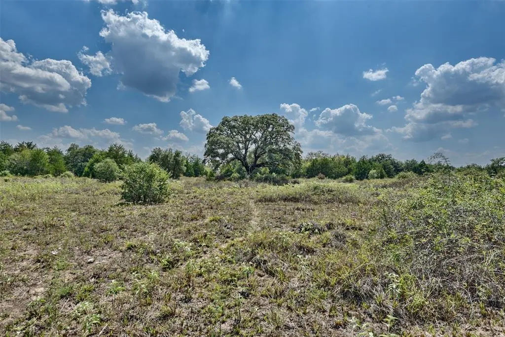 2839 Schoenst RD, Round Top, TX 78954