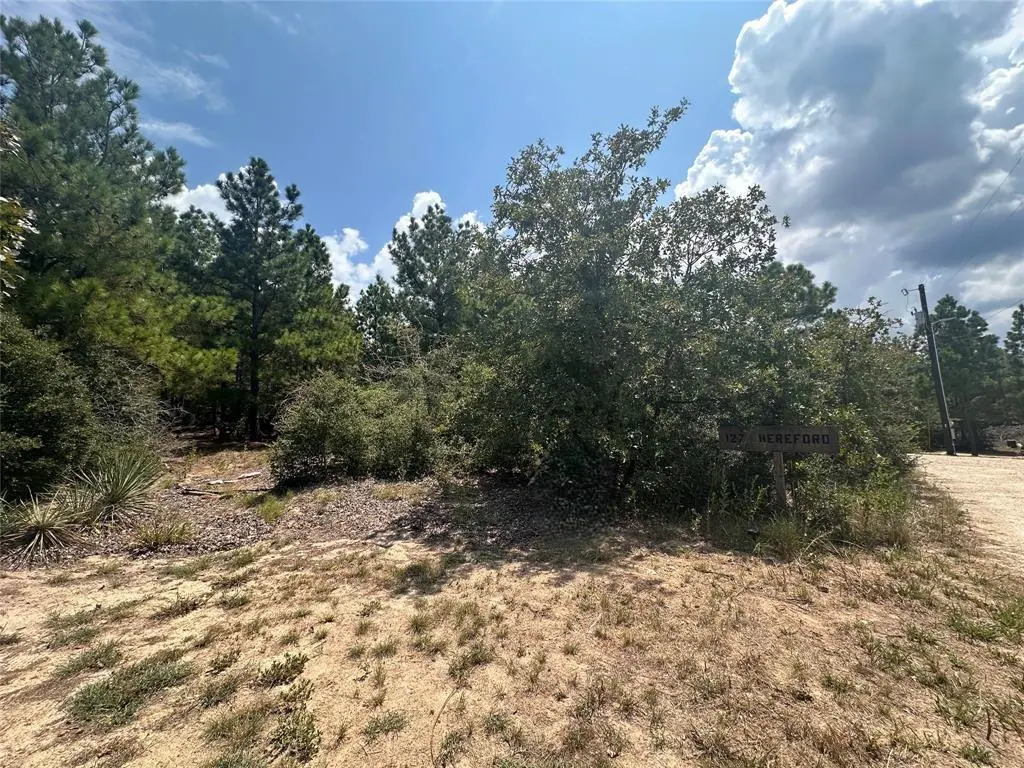 LOT 42 Hereford LN, Bastrop, TX 78602