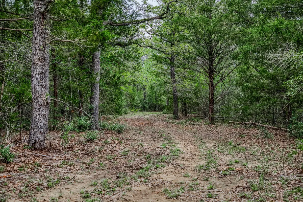 TBD (349.84 Acres) County Road 125, Ledbetter, TX 78946