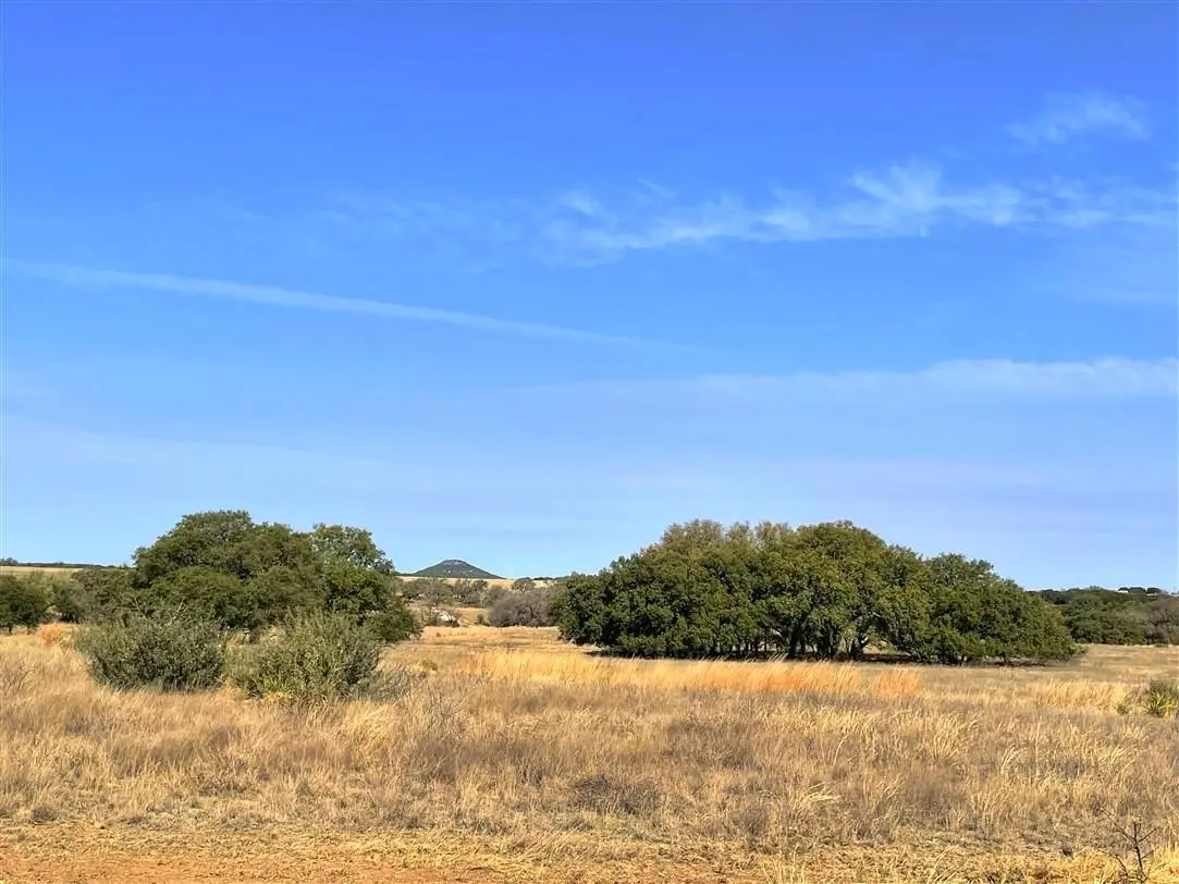 Tract 24 US Hwy 183 HWY, Goldthwaite, TX 76844