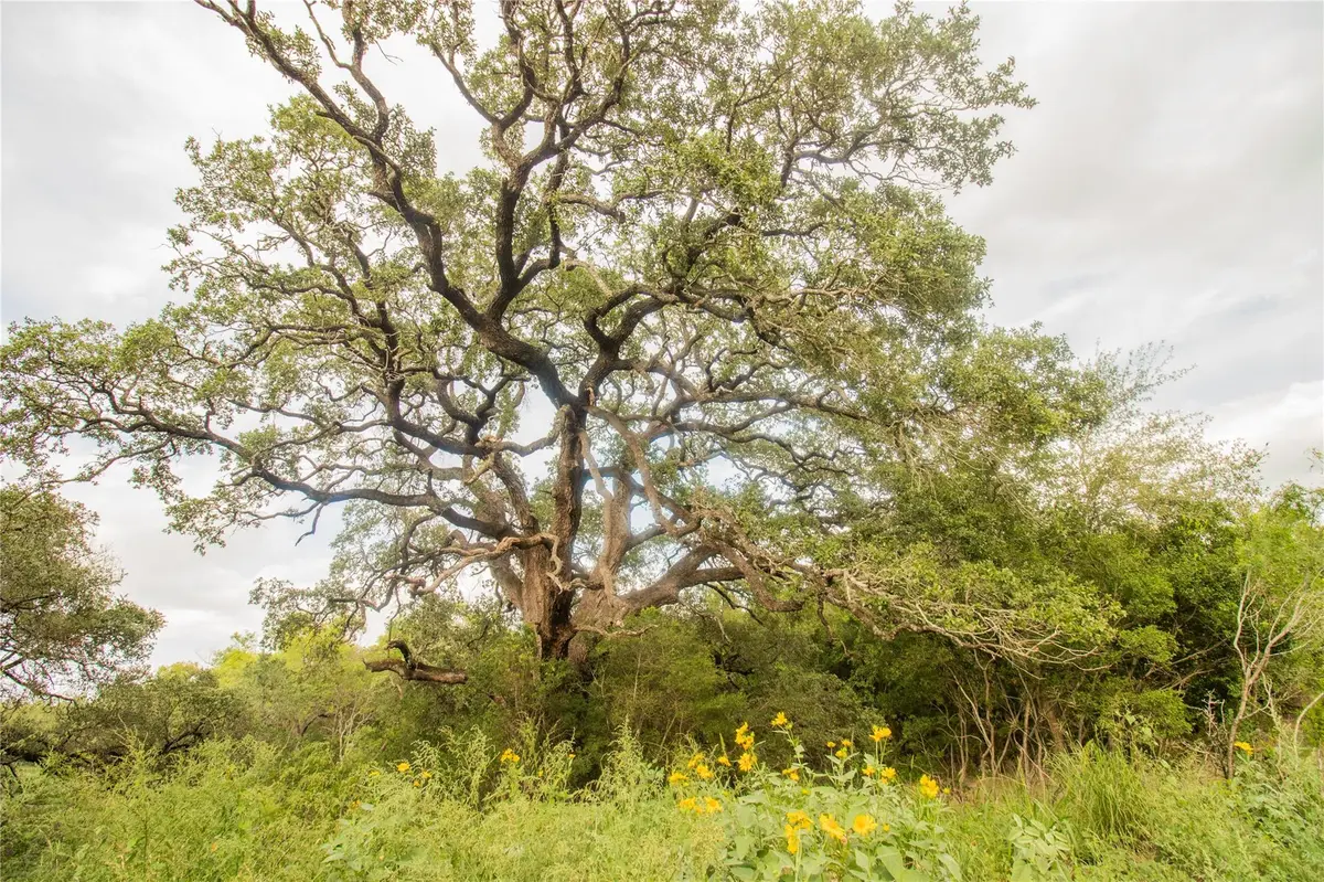 862 Dowdy RD, Seguin, TX 78155
