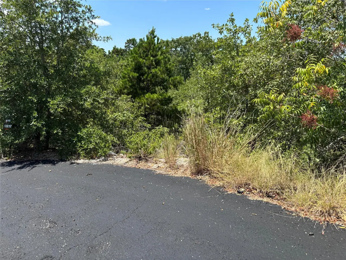 456 Ori CT, Bastrop, TX 78602