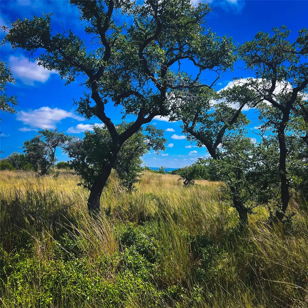 Lot 28 N Scenic Hills CT, Blanco, TX 78606
