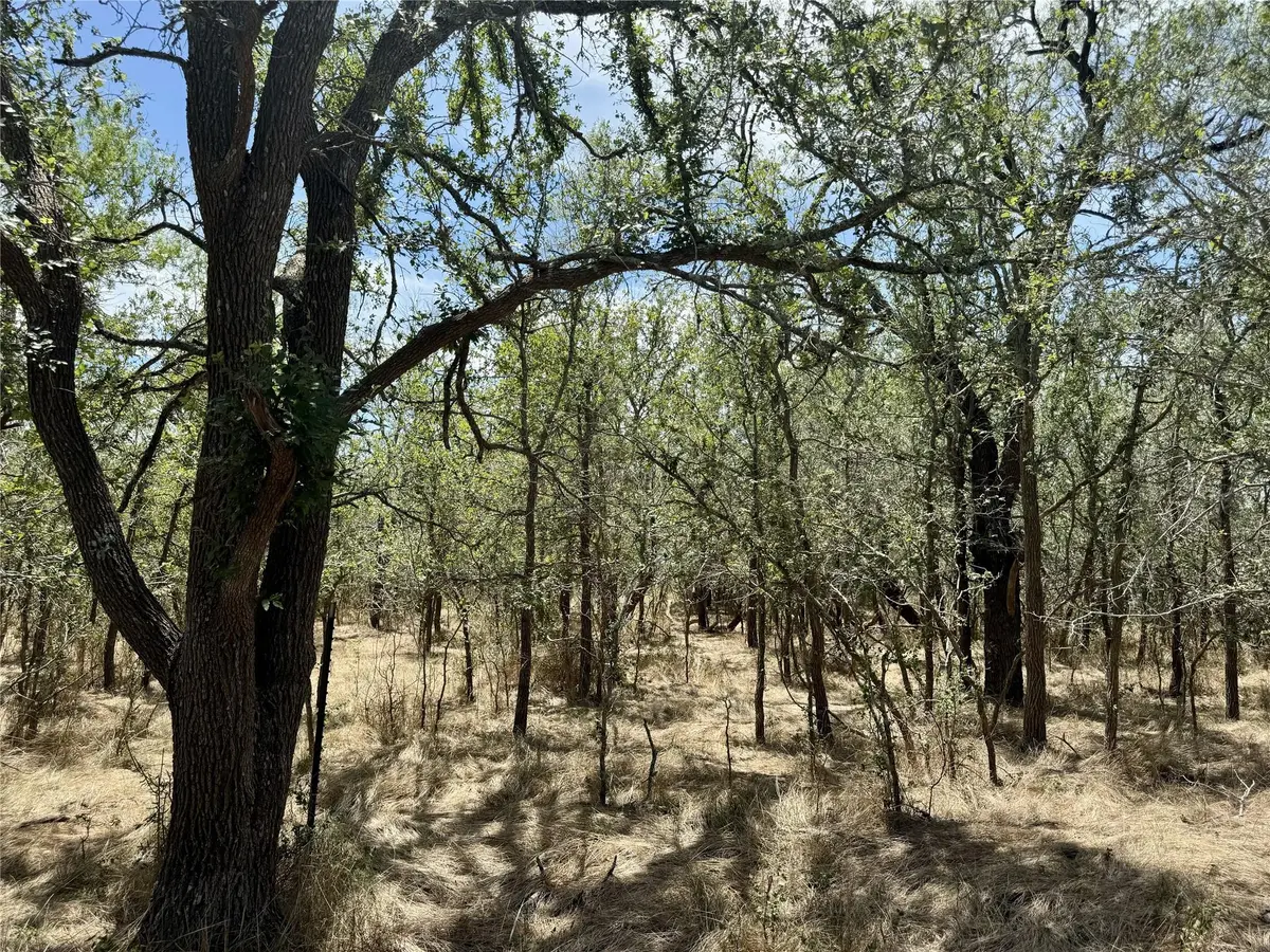 TBD Tract 6 Baylen Clifton LN, Lockhart, TX 78644
