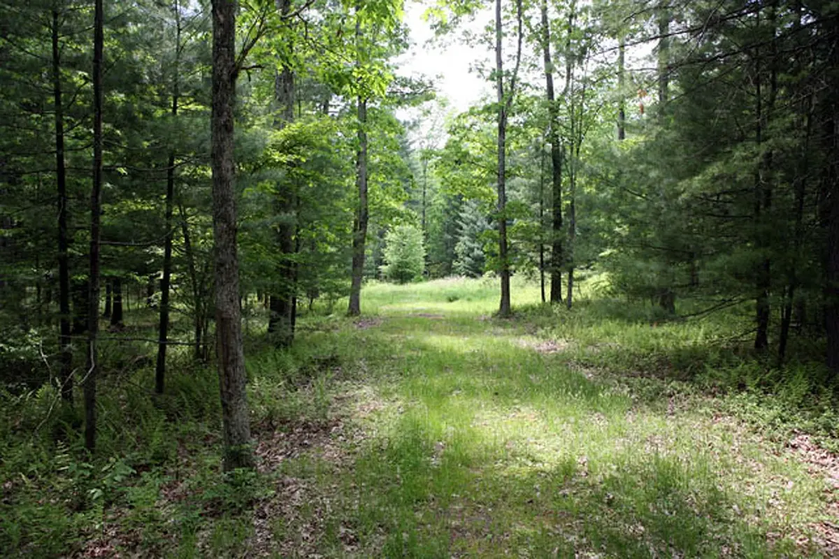 Lot 23 Serenity DR, Callicoon, NY 12723