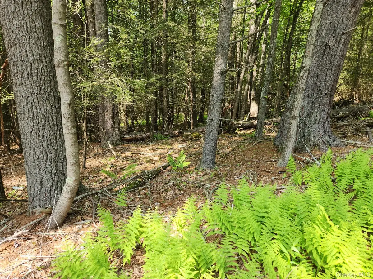 Highland Lake, Eldred, NY 12732