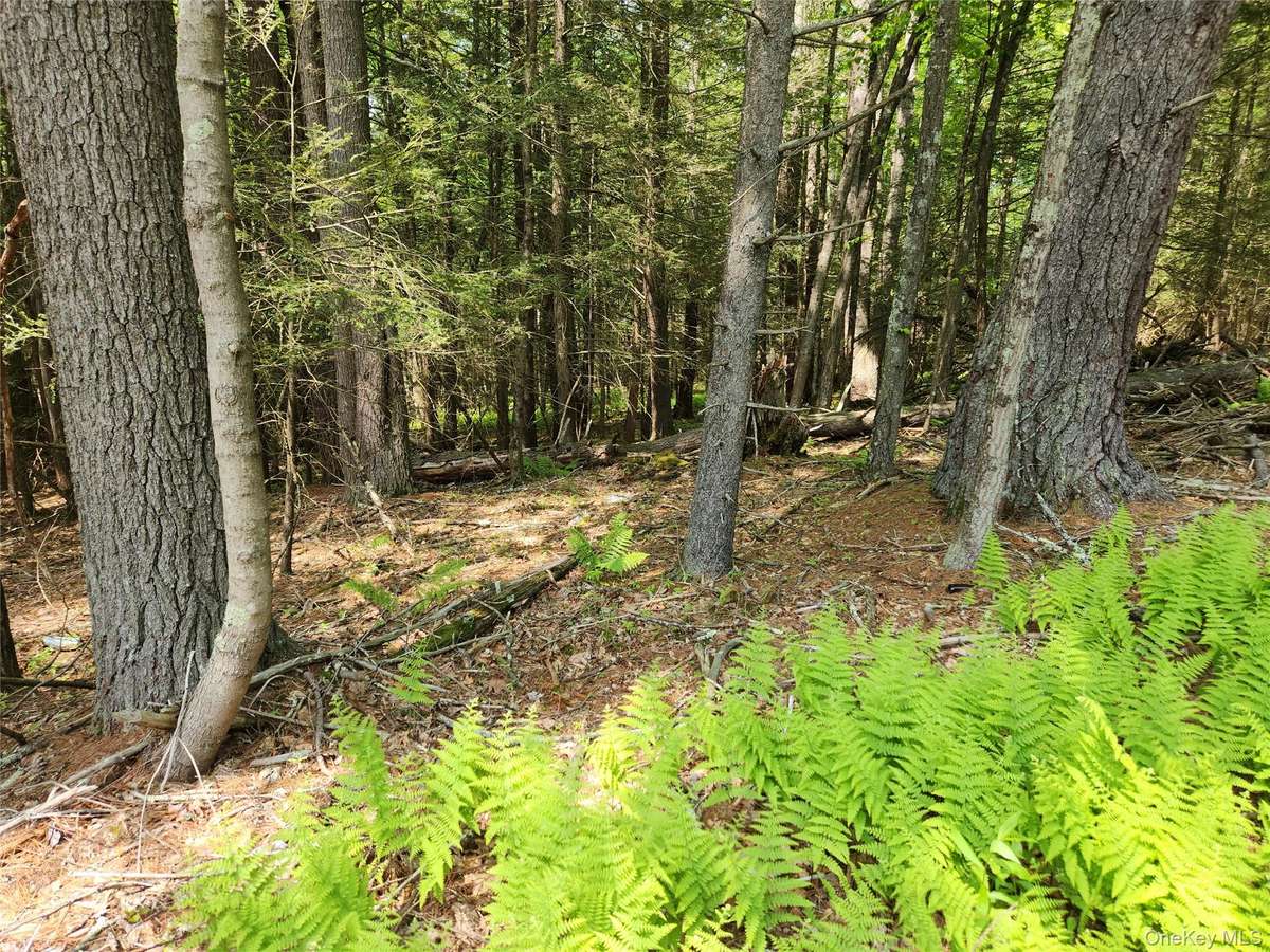 Highland Lake, Eldred, NY 12732