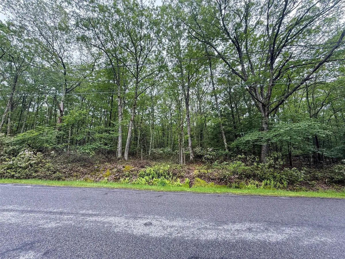 Old Sackett Road, Rock Hill, NY 12775