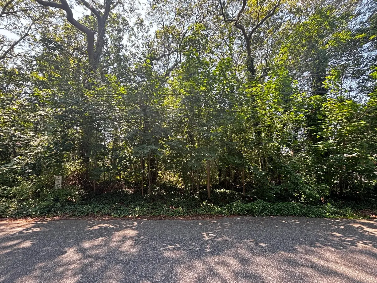 Holly LN, Shirley, NY 11967