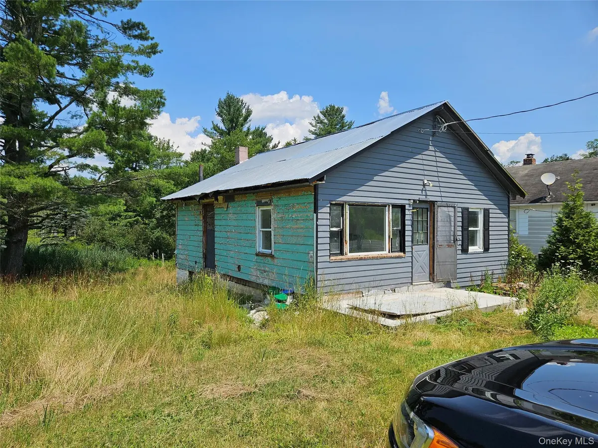 625 Briscoe RD, Swan Lake, NY 12783