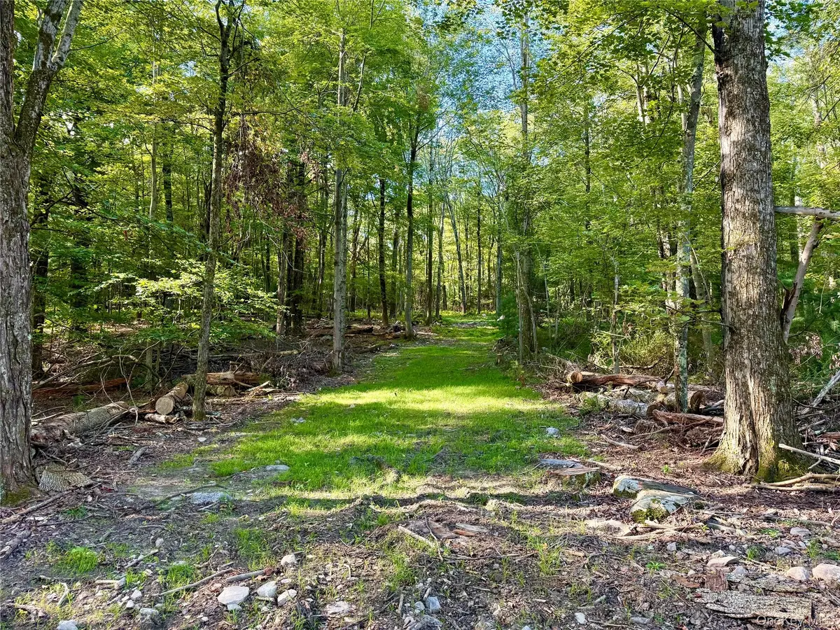 Mt Prosper RD, Wurtsboro, NY 12790