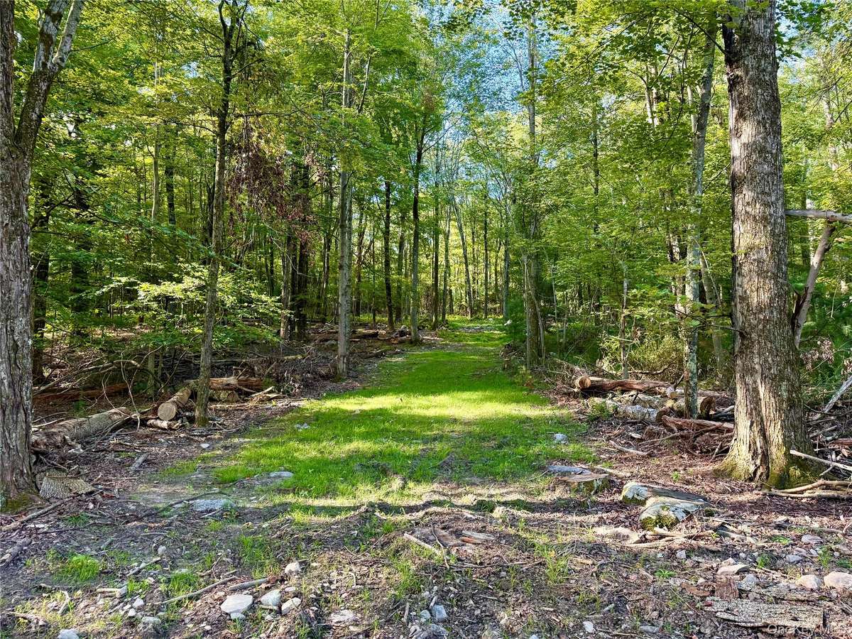 Mt Prosper RD, Wurtsboro, NY 12790