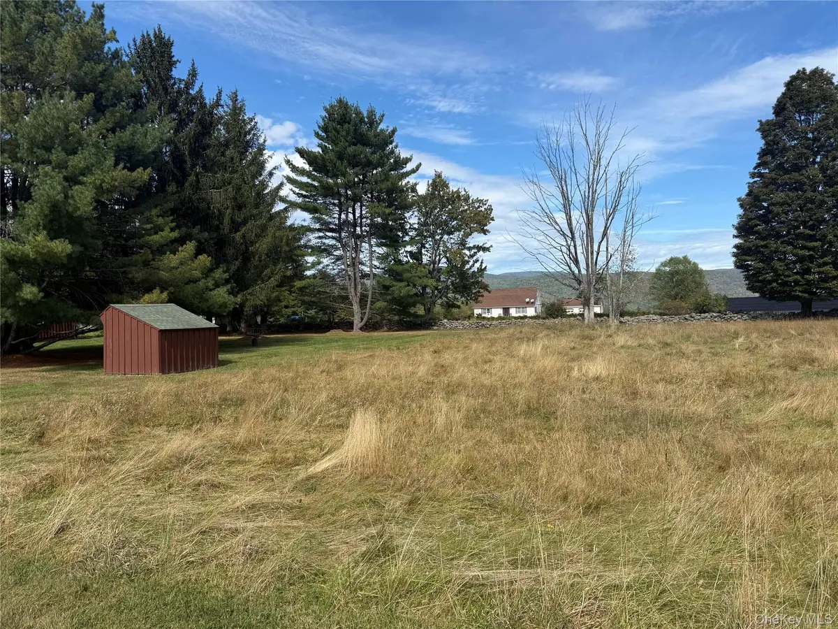 Hall RD, Grahamsville, NY 12740
