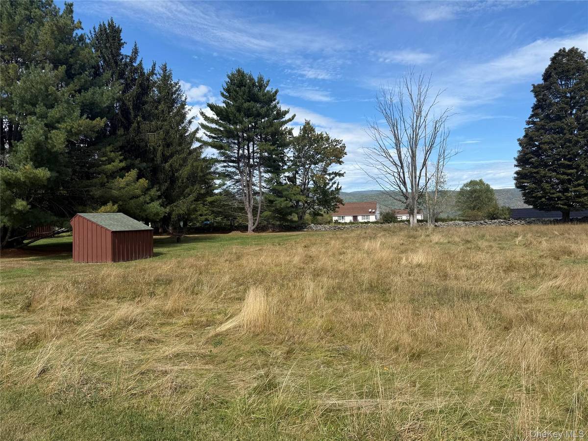 Hall RD, Grahamsville, NY 12740
