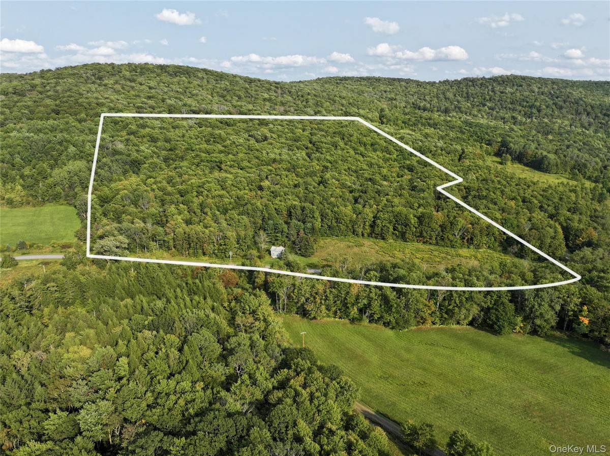 1990 Finch Hollow RD, Walton, NY 13856