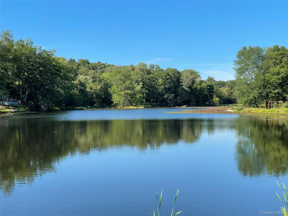 tbd Lake Shore DR, Pine Bush, NY 12566