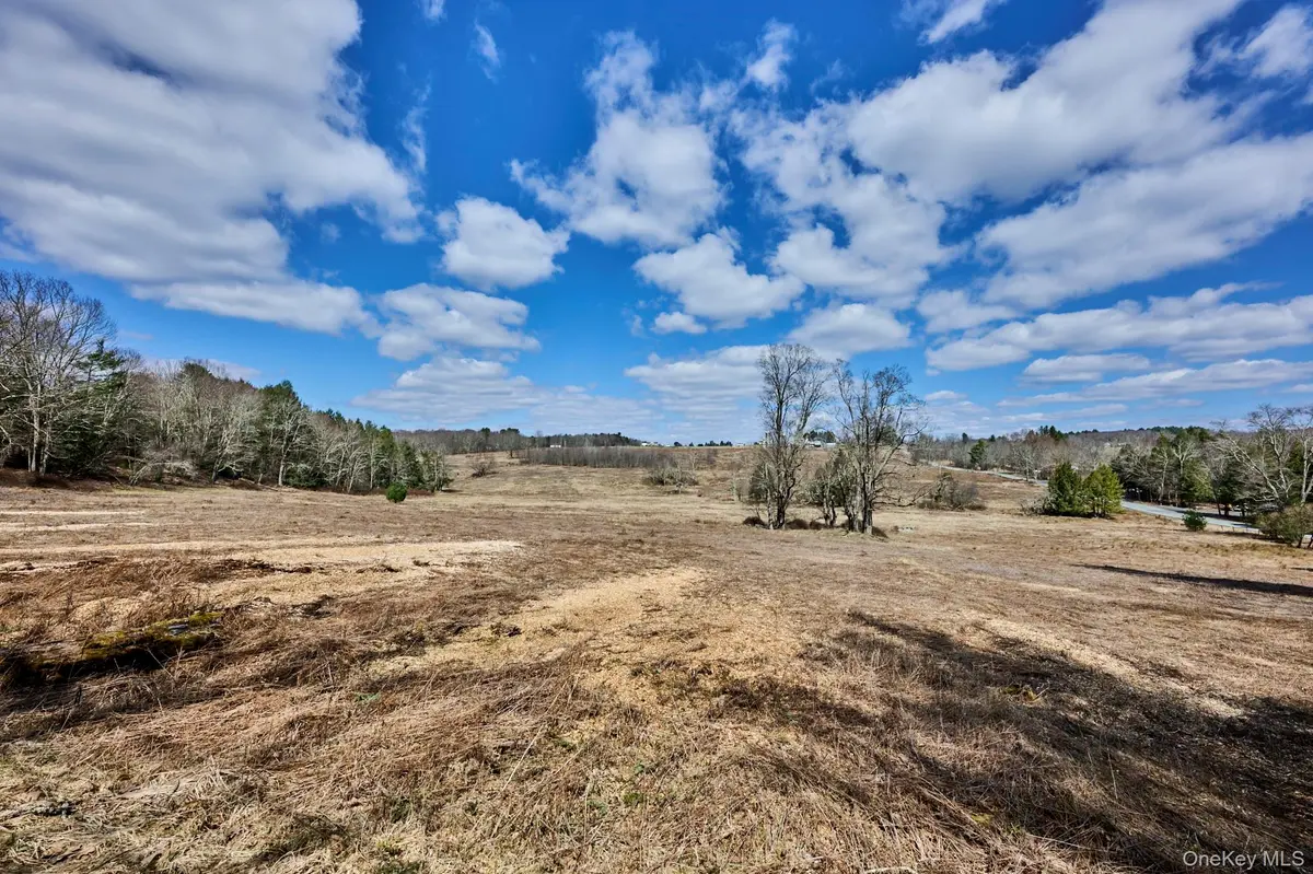 Lot 17.9 Shortcut Road, Cochecton, NY 12726