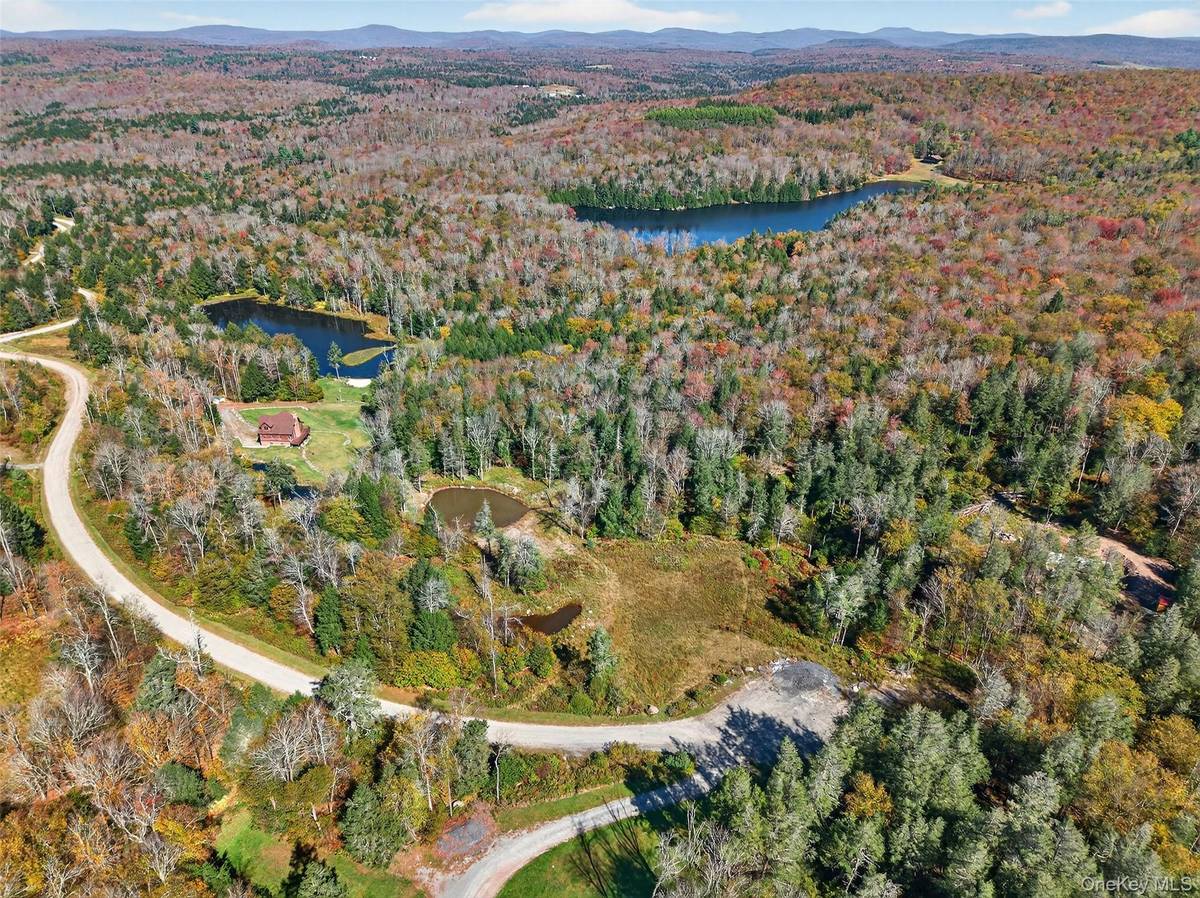 TBD Black Bear XING, Parksville, NY 12768