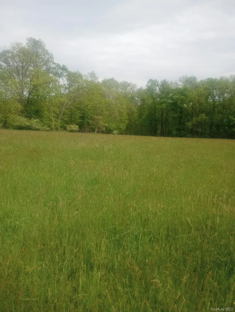 Myers RD. Westtown, NY 10 Myers RD, Westtown, NY 10998