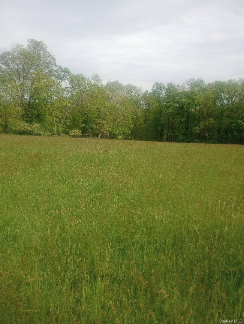 Myers RD. Westtown, NY 10 Myers RD, Westtown, NY 10998