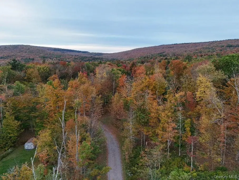 TBD Kornell Drive, Haines Falls, NY 12436