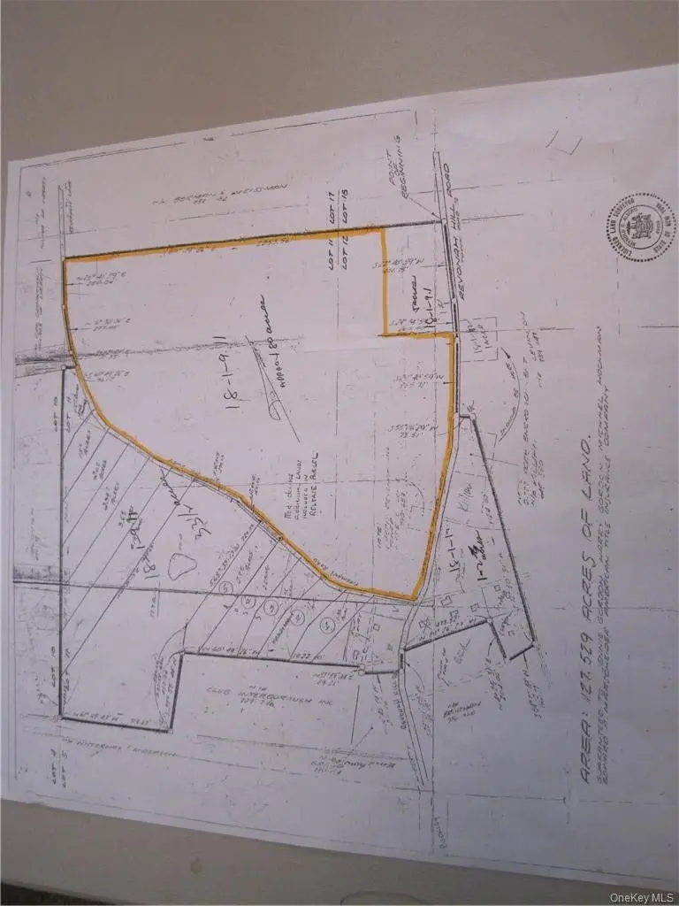 Revonah Hill RD, Liberty, NY 12754