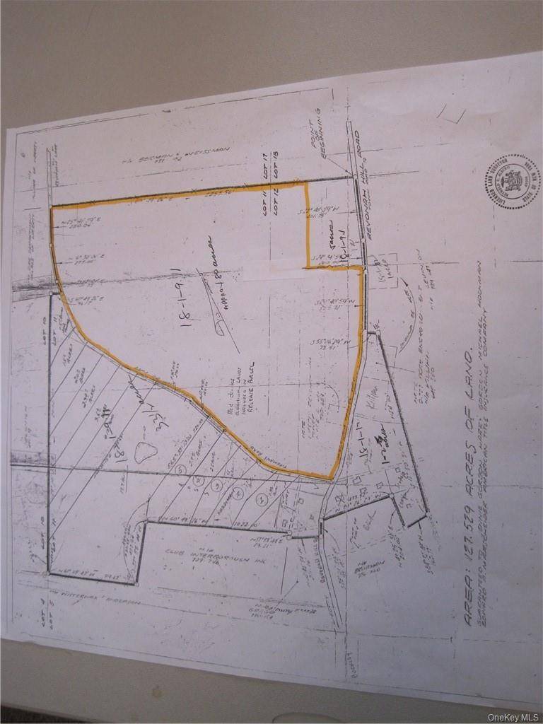 Revonah Hill RD, Liberty, NY 12754