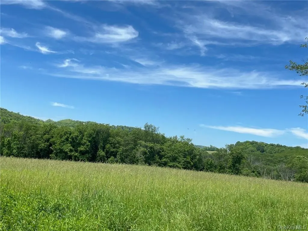 PERRYS CORNERS RD, Amenia, NY 12501