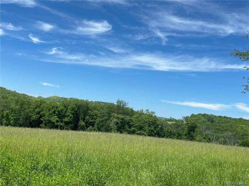 PERRYS CORNERS RD, Amenia, NY 12501