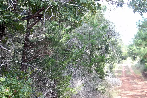 TBD Ott RD,  Rosanky,  TX 78953