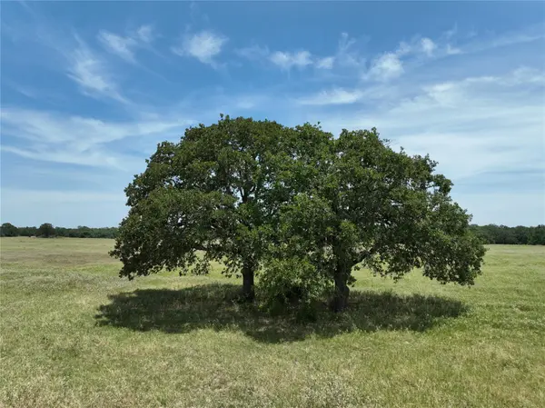 Lot 2 CR 127,  Ledbetter,  TX 78946