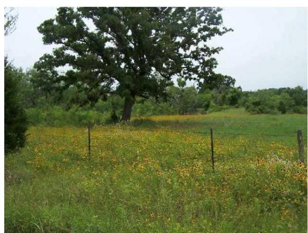 724 Kovar ST, Flatonia, TX 78941