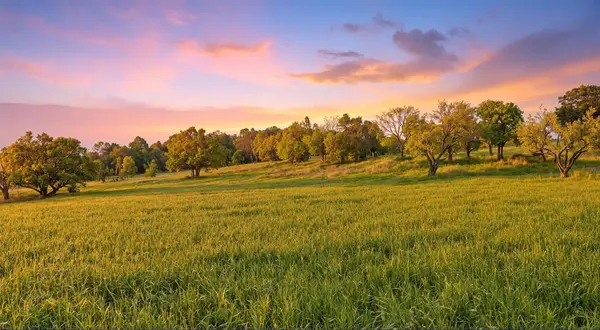 305 Running Brook TRL,  Spicewood,  TX 78669