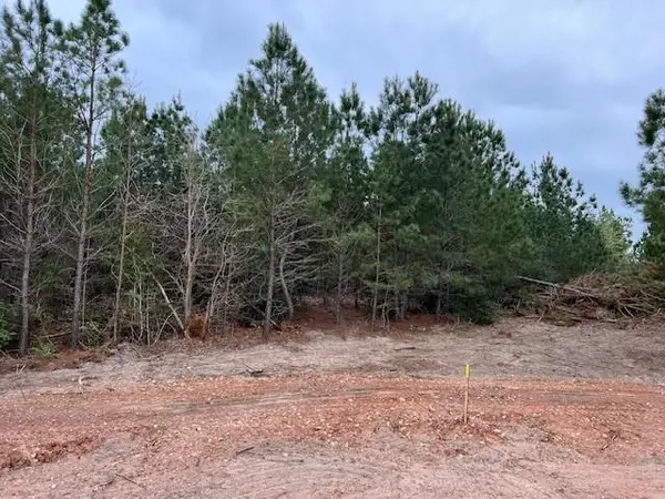 Lot 5 Autumn RDG,  Bastrop,  TX 78602