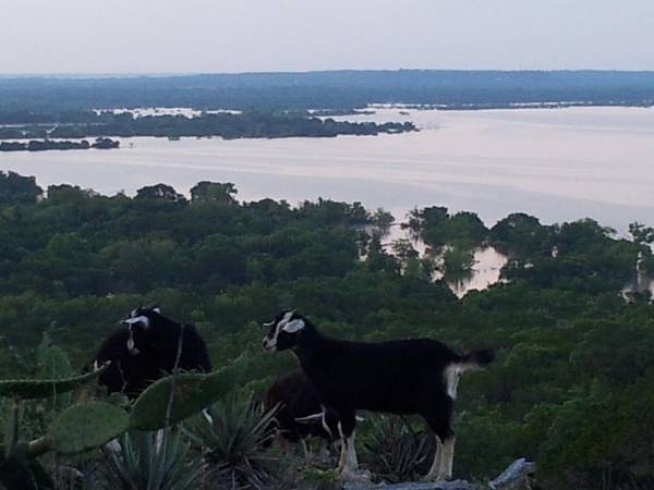 13842 FM 56,  Kopperl,  TX 76652