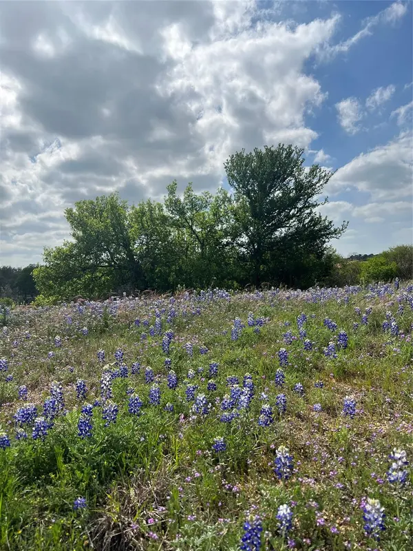 Lot C-60 La Serena Loop,  Horseshoe Bay,  TX 78657