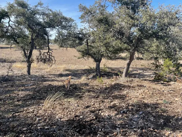 Lot 15 Avva DR, Mountain Home, TX 78058