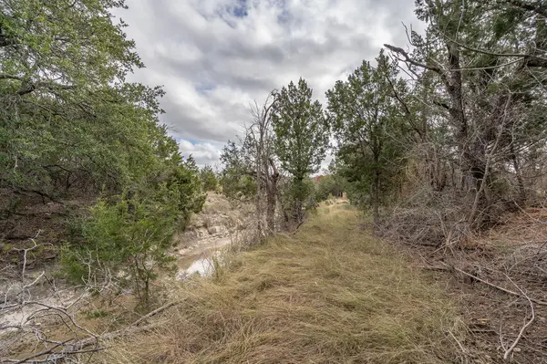 000 Cloudwood Ranch RD,  Briggs,  TX 78608