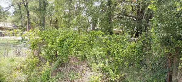 8603 Damita Jo DR, Manor, TX 78653