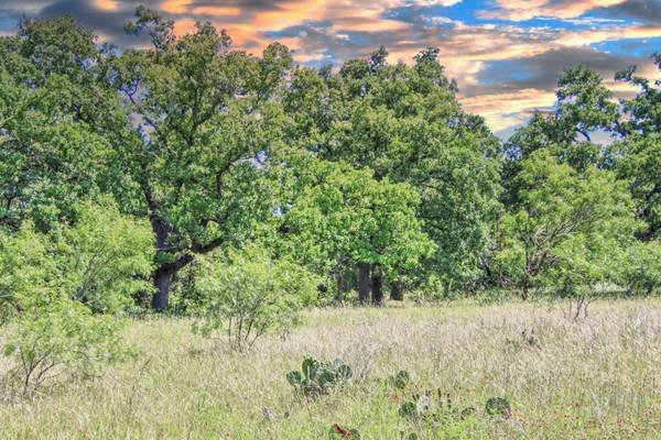 Lot 4 RM 1323,  Willow City,  TX 78675