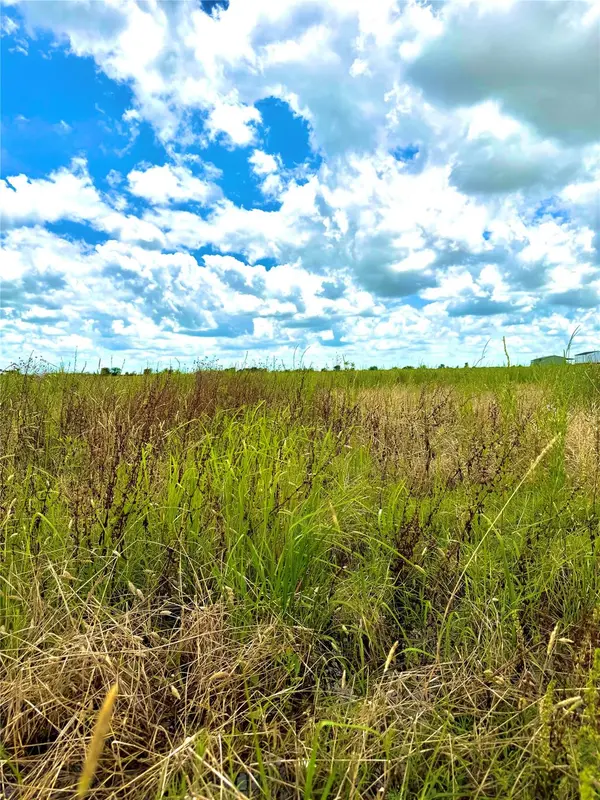 TBD Tract 4 Beal RD,  Eagle Lake,  TX 77434