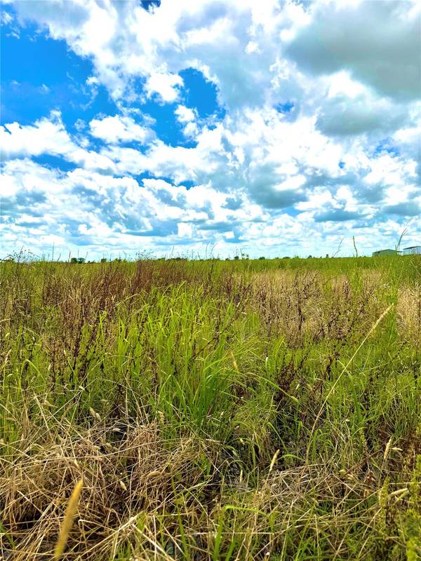 TBD Tract 4 Beal RD, Eagle Lake, TX 77434