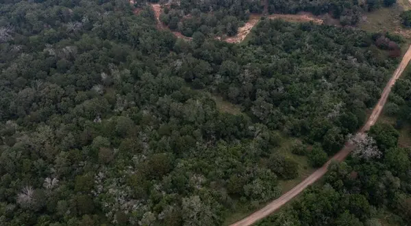 LOT 4 Private Road 4601,  Waelder,  TX 78959