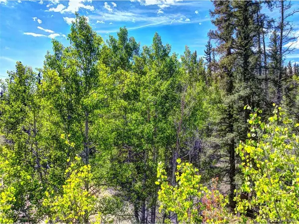 75 Swiggler, Jefferson, CO 80456