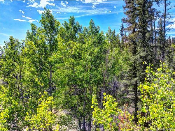 75 Swiggler, Jefferson, CO 80456