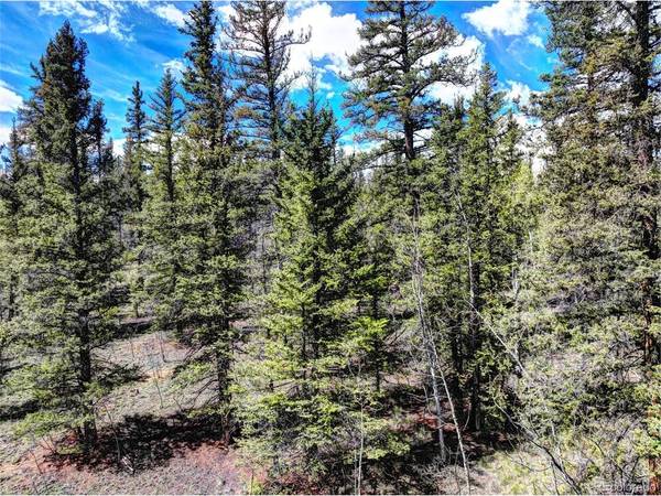 75 Swiggler, Jefferson, CO 80456